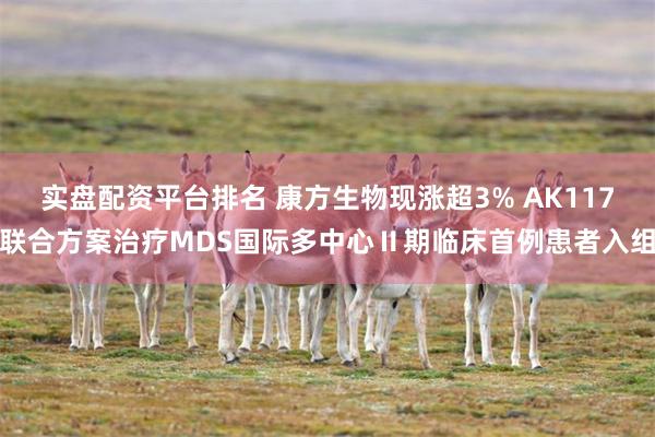 实盘配资平台排名 康方生物现涨超3% AK117联合方案治疗MDS国际多中心Ⅱ期临床首例患者入组