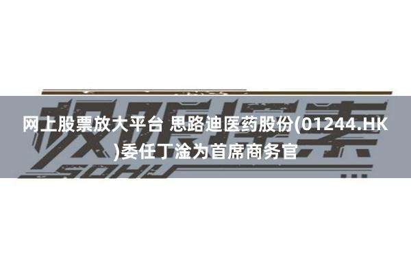 网上股票放大平台 思路迪医药股份(01244.HK)委任丁淦为首席商务官