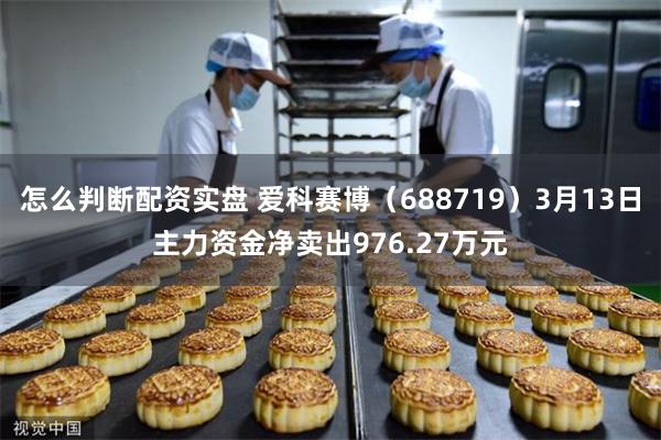 怎么判断配资实盘 爱科赛博（688719）3月13日主力资金净卖出976.27万元
