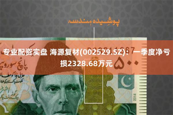 专业配资实盘 海源复材(002529.SZ)：一季度净亏损2328.68万元