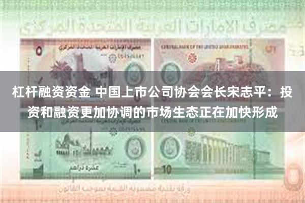 杠杆融资资金 中国上市公司协会会长宋志平：投资和融资更加协调的市场生态正在加快形成
