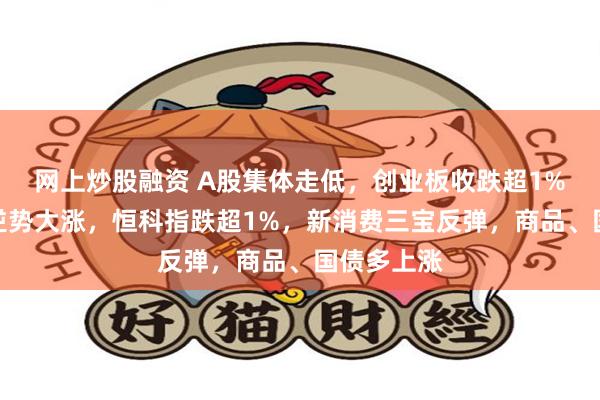 网上炒股融资 A股集体走低，创业板收跌超1%，油气股逆势大涨，恒科指跌超1%，新消费三宝反弹，商品、国债多上涨
