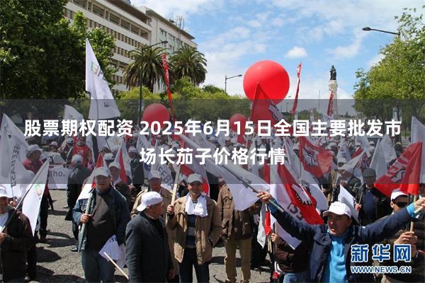 股票期权配资 2025年6月15日全国主要批发市场长茄子价格行情