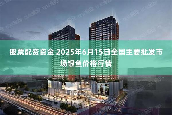股票配资资金 2025年6月15日全国主要批发市场银鱼价格行情
