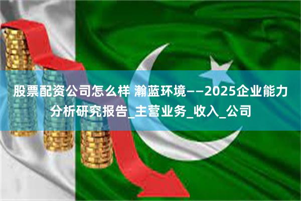 股票配资公司怎么样 瀚蓝环境——2025企业能力分析研究报告_主营业务_收入_公司