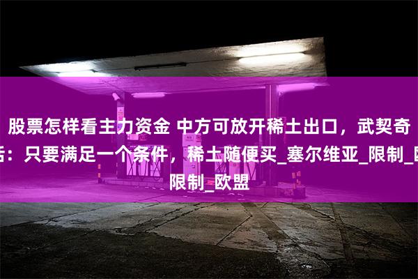 股票怎样看主力资金 中方可放开稀土出口，武契奇传话：只要满足一个条件，稀土随便买_塞尔维亚_限制_欧盟