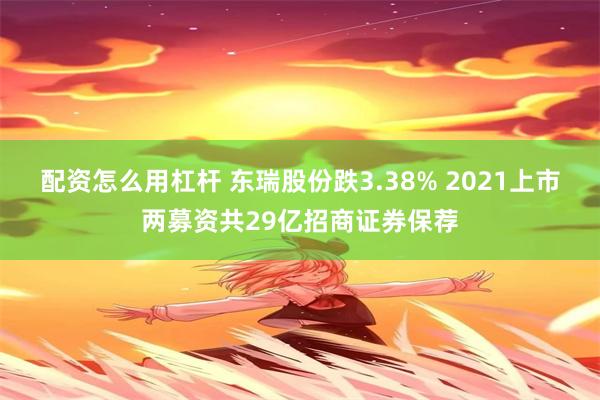 配资怎么用杠杆 东瑞股份跌3.38% 2021上市两募资共29亿招商证券保荐